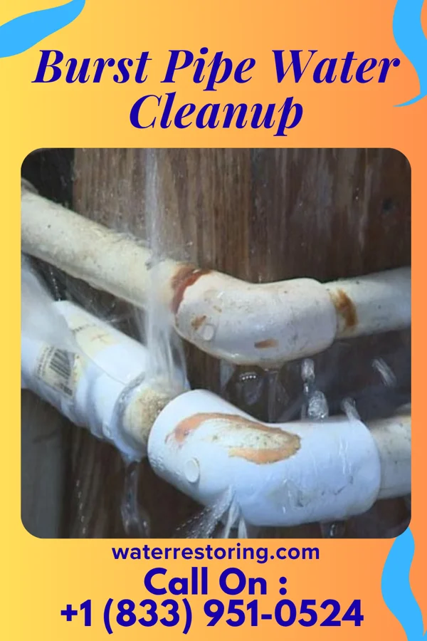 Burst Pipe Water Cleanup in Finger, TN