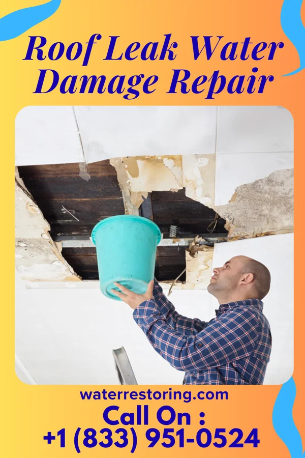 Roof Leak Water Damage Repair in Finger, TN